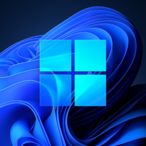 Windows 11 Pro