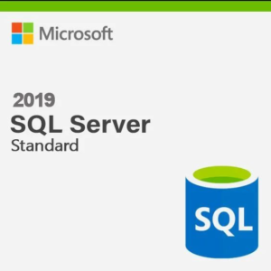 SQL SERVER STD 2019 - INCLUSO 1 CALL